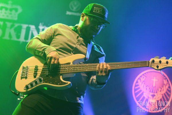 The Skints