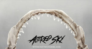 Altered Sky Without Wonderland Album Artwork