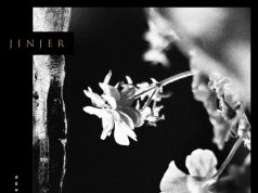 Jinjer - Wallflowers Album Cover Artwork