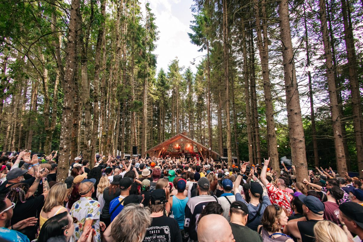 2000trees 2025 Live Review Wednesday 9th July 2025 Rock Sins